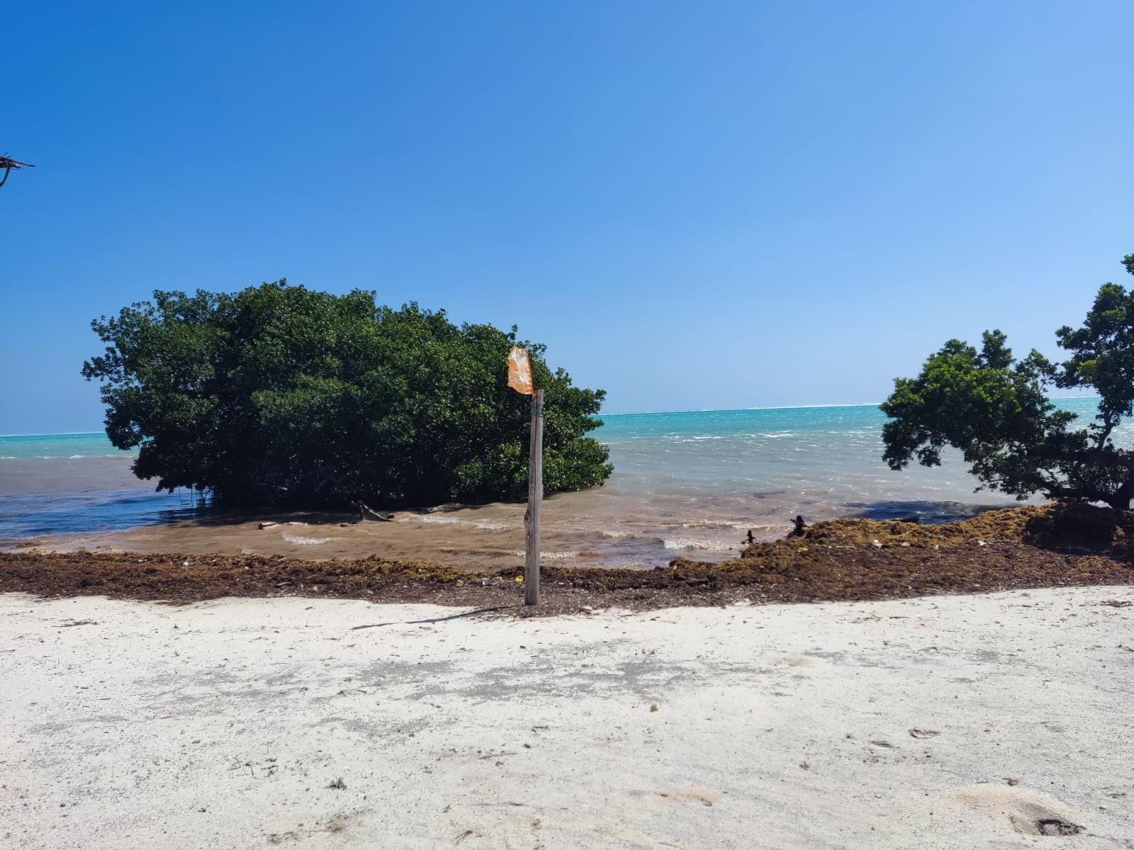 Terreno frente al mar en Xcalak | 5,224.58 m² — Xcalak, Xcalak
