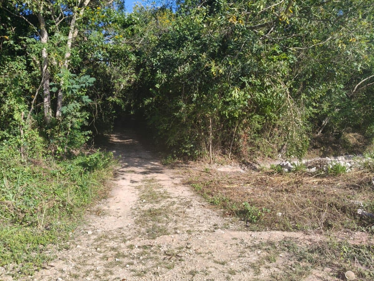 Macro-Lote en venta San Patricio, carretera federal Bacalar-Xtomoc. — Bacalar, Bacalar