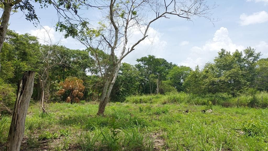 Terreno en Venta Bacalar — Col. Aaron Merino, Bacalar